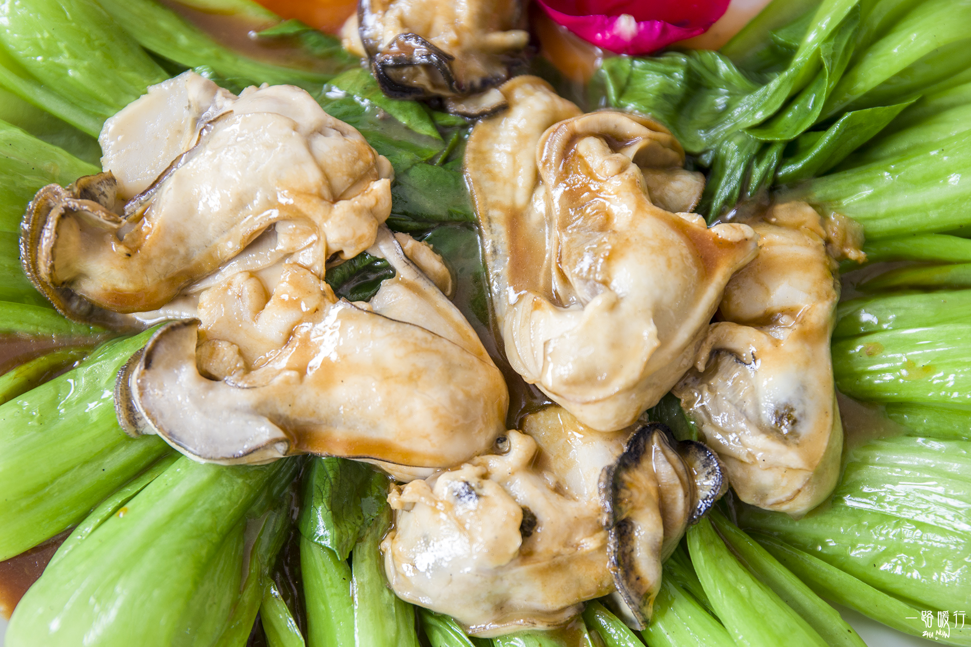 乳山冬季海蛎子,乳山海边海蛎子