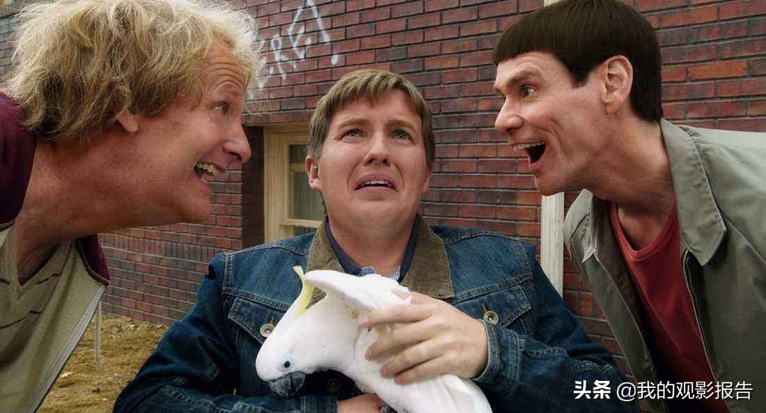 国外喜剧电影大全免费,沙雕无厘头喜剧电影