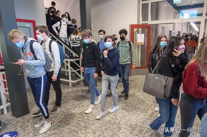 荷兰口罩,荷兰对口罩的处理要求