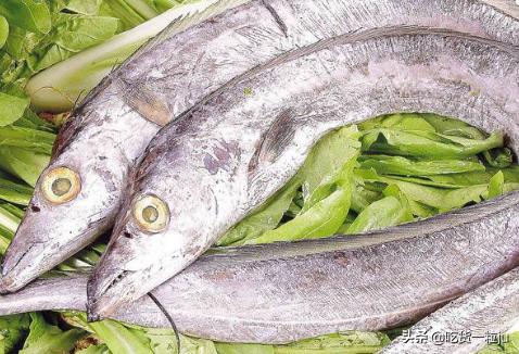带鱼为啥价格相差那么多,带鱼价钱为什么差别那么大
