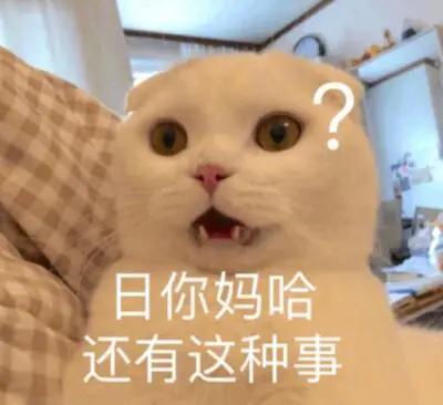 养猫智商税解析,养猫8大智商税