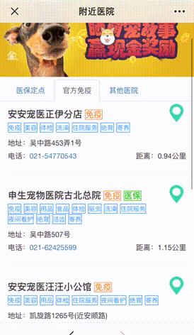 上海市养犬哪里办证,养犬登记证办理流程线下成都