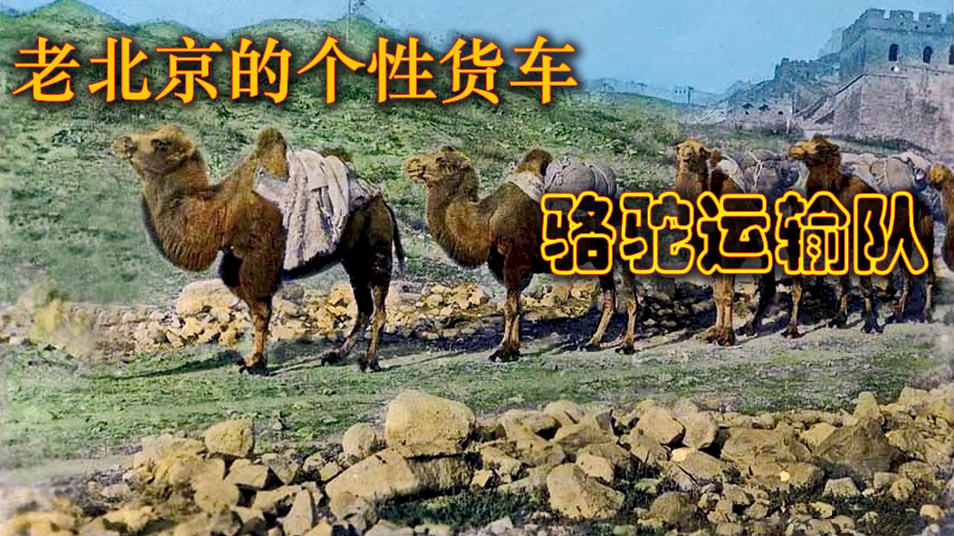 老北京的个性货车,骆驼运输队