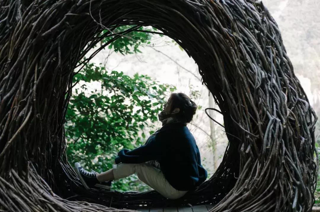 楠溪江的水有多美 (浙江楠溪江风景区怎么样)