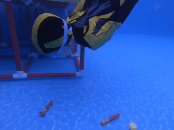 温州龙格亲子游泳中心最新消息,温州儿童游泳乐园