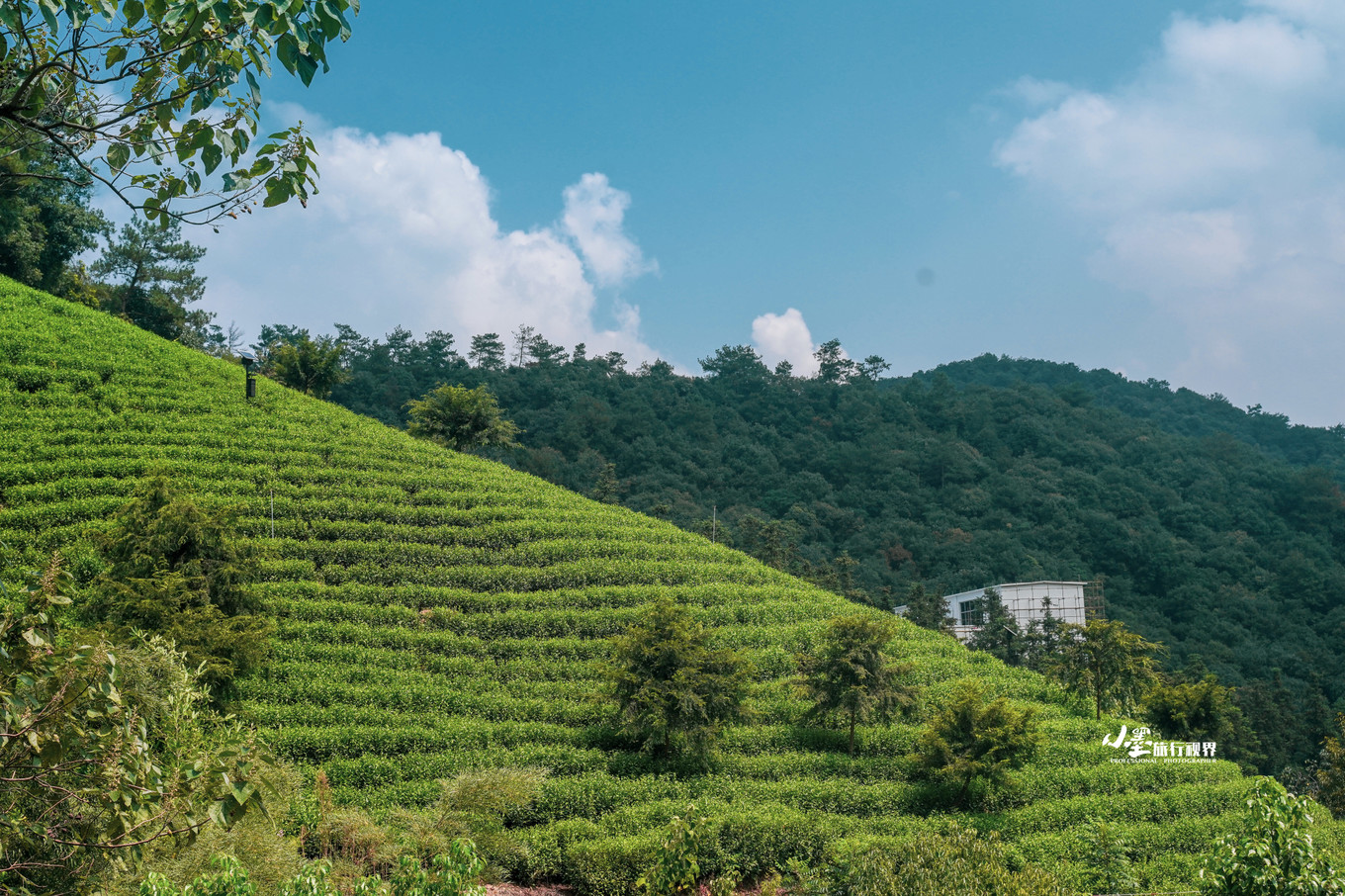 最接地气的大自然度假村,安吉旅游度假村推荐