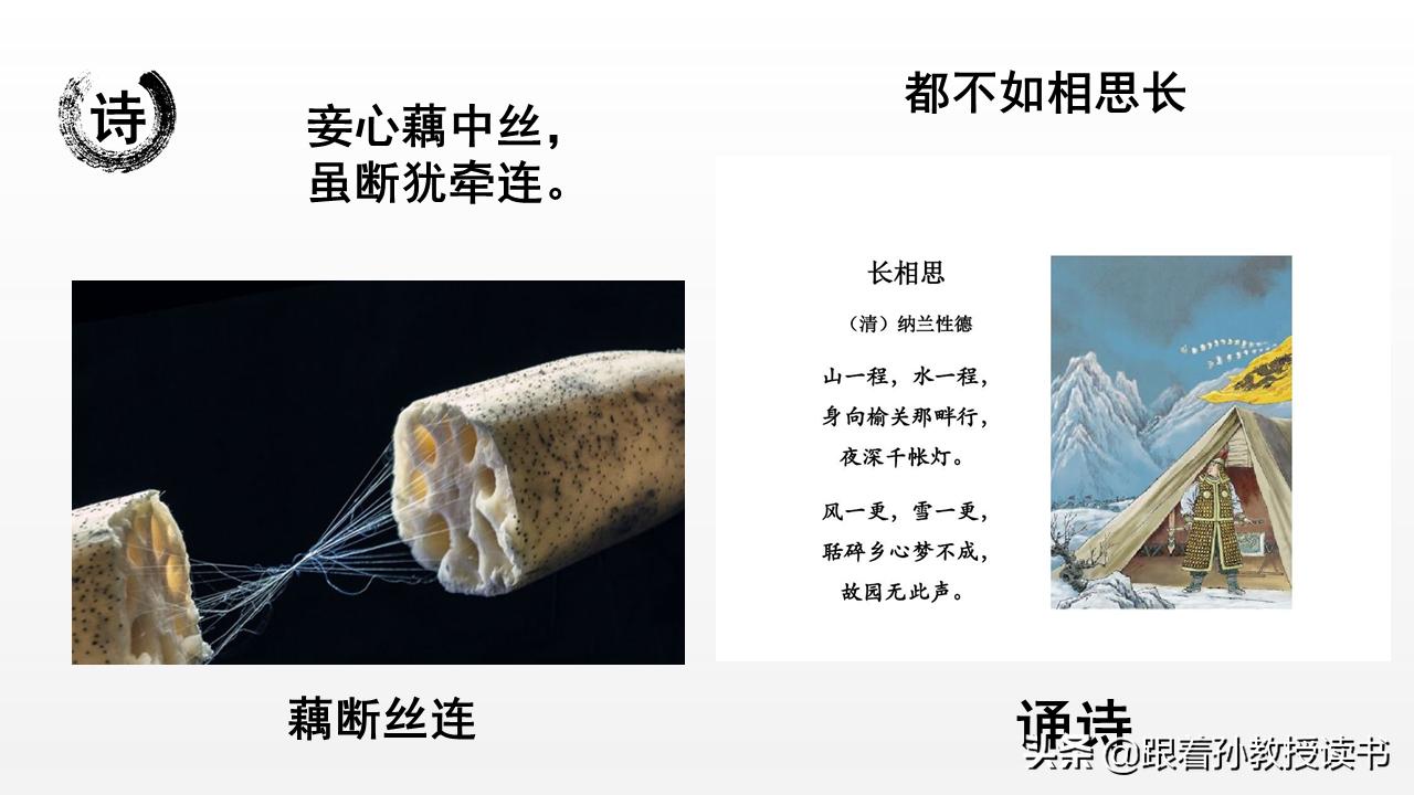 《国民国语》7.4诵诗:蚕丝长,藕丝长,都不及相思长