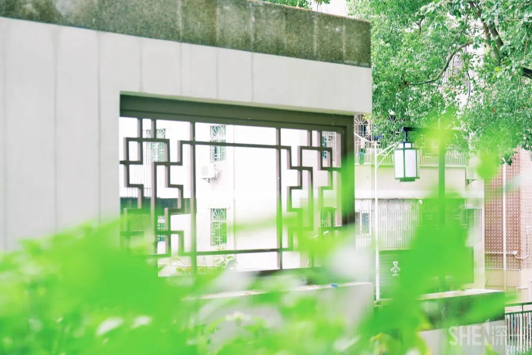 深圳八大绝美公园,山水公园深圳