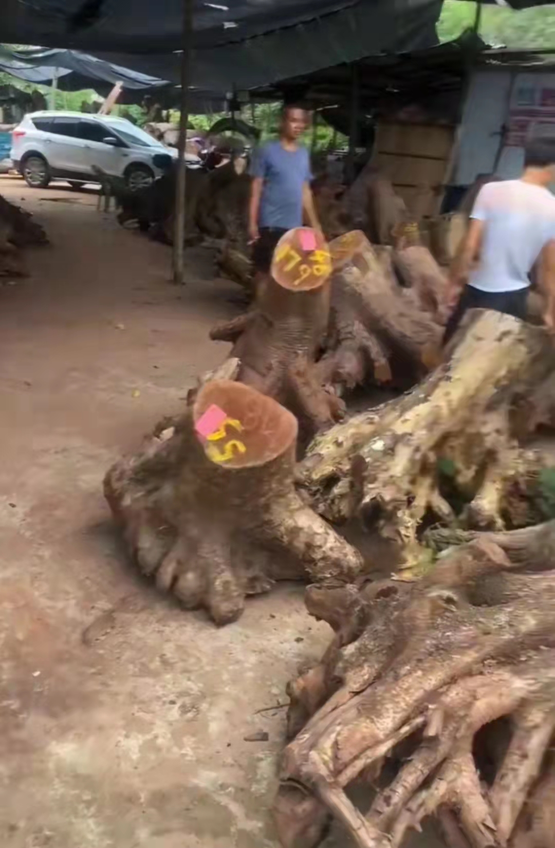 学习根雕一个月能挣多少钱,做生意都以为很赚钱其实没利润