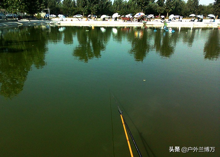 黑坑钓鱼草鱼不开口怎么应对,钓黑坑鱼不开口怎么办