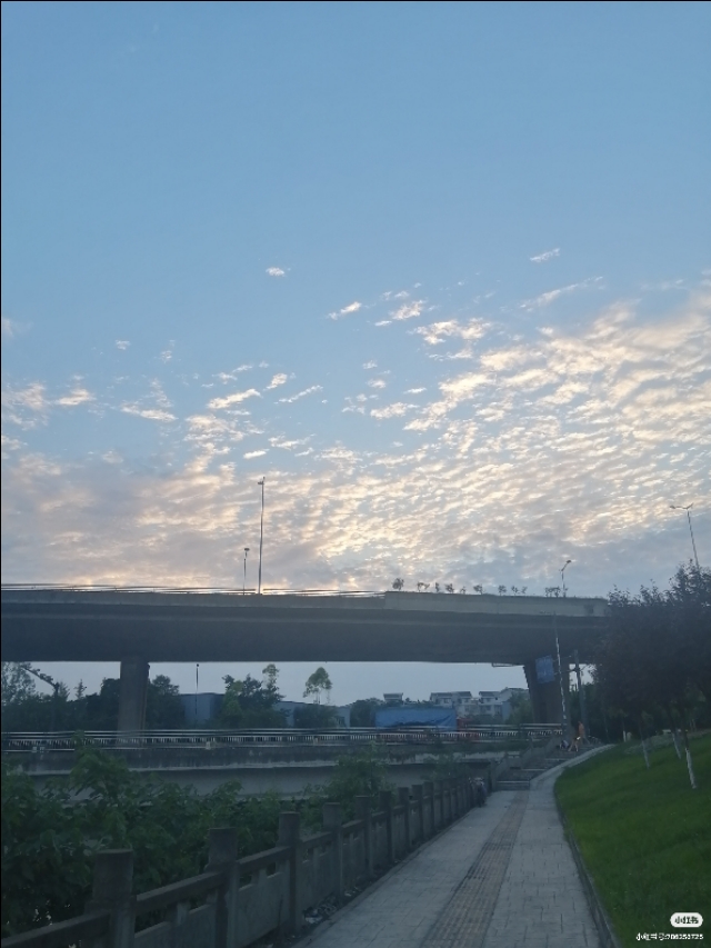 新能源汽车的利弊,二手新能源电动汽车利弊