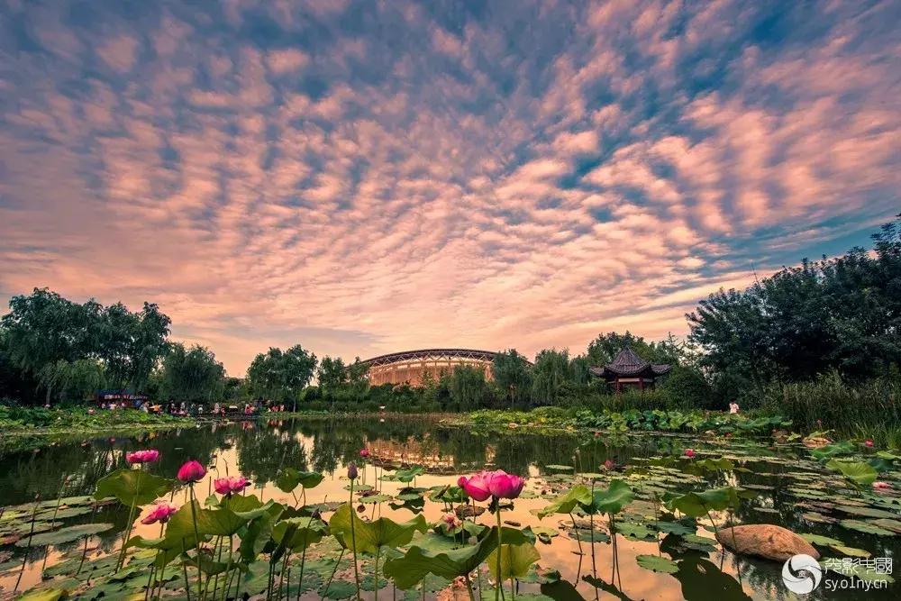 南阳目前风景区有哪些,航拍南阳有哪些风景区