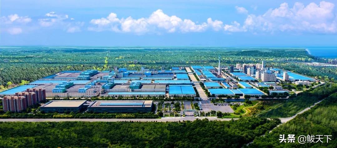 恒力集团营口康辉石化有限公司,营口康辉石化有限公司招聘信息