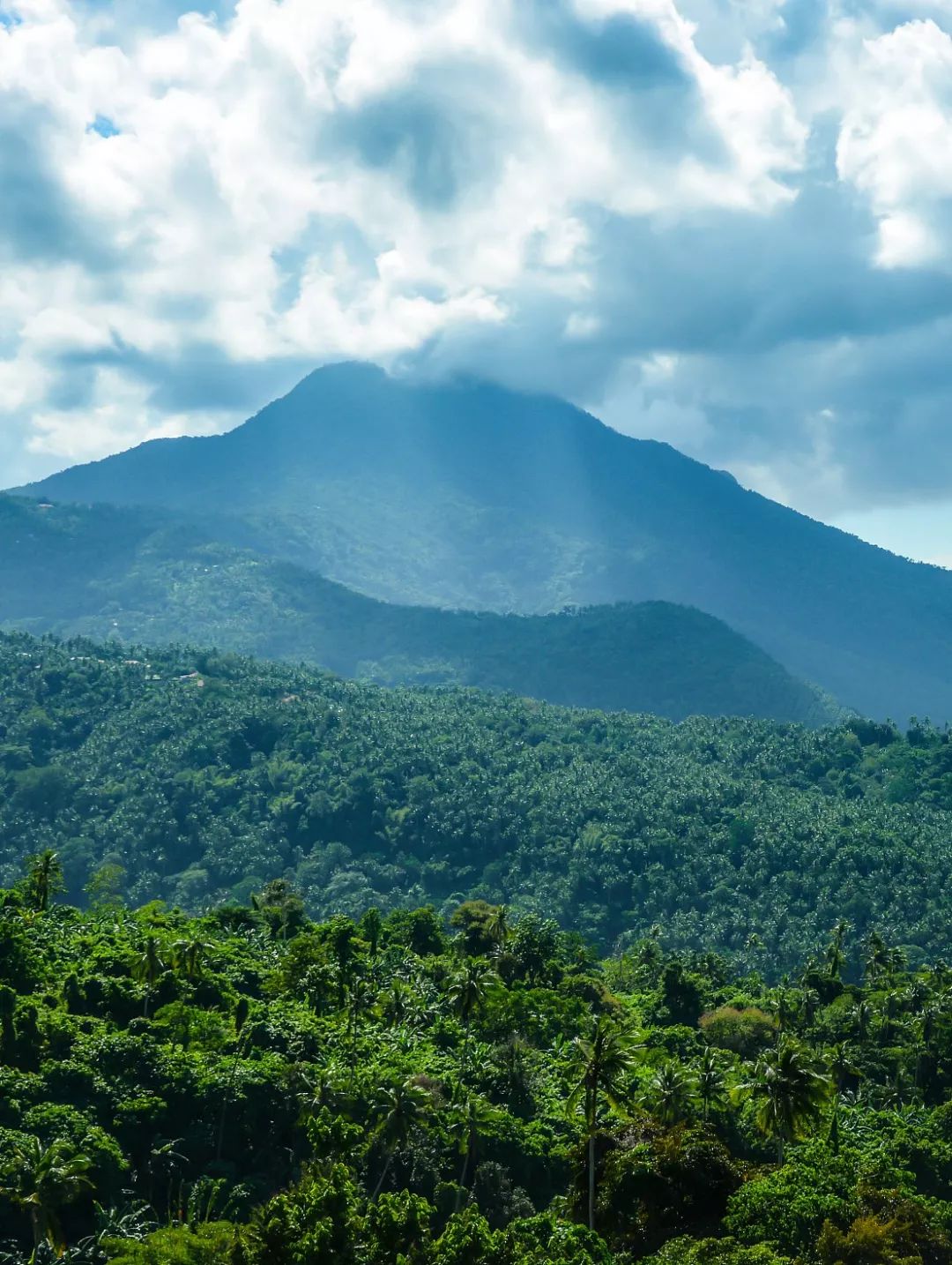 菲律宾碎玻璃,菲律宾塑料破碎