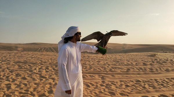 迪拜不为人知的秘密,迪拜的不为人知的事情