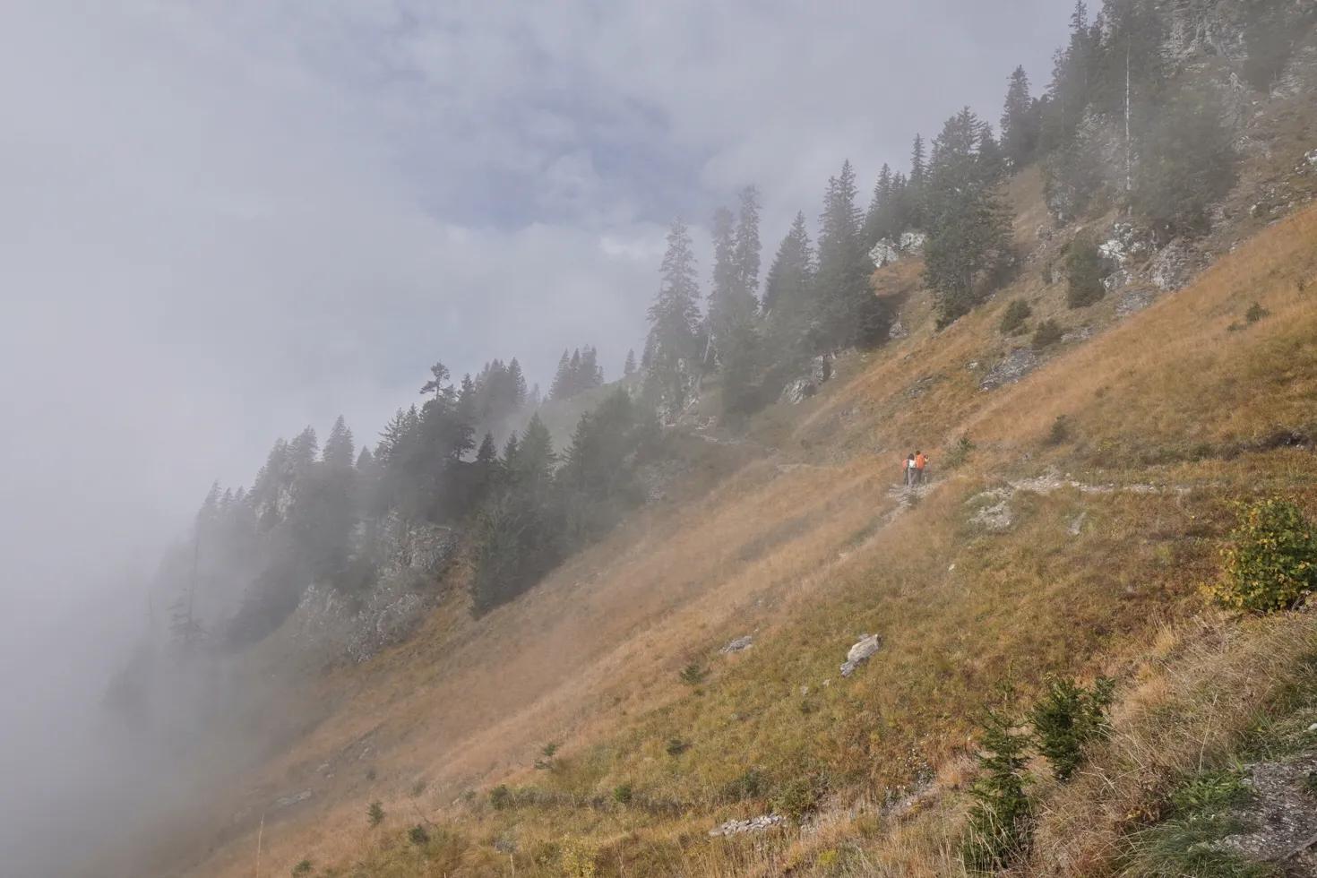 瑞士少女峰旅游详细攻略,四姑娘山徒步路线免费推荐