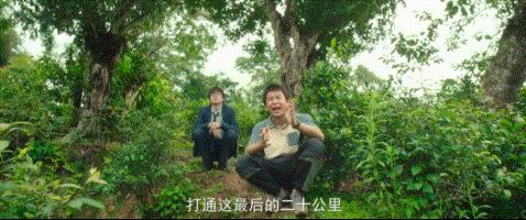 这是一篇独属于这个时代年轻人的小爽文