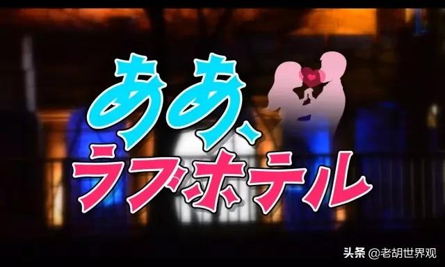 开眼界的内容有哪些,开眼界的民宿推荐