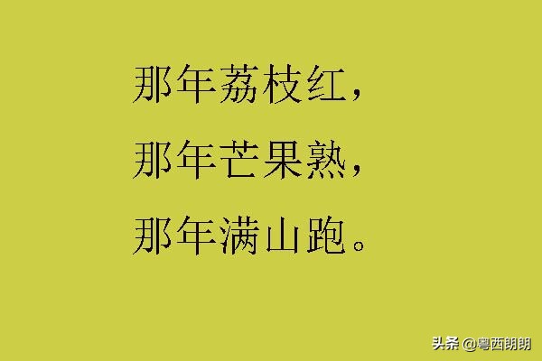 那年荔枝红,那年芒果熟,那年满山跑