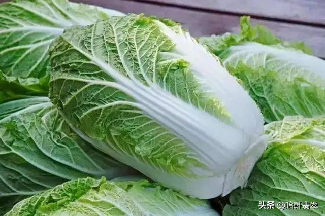 乾隆和白菜,乾隆白菜和太后白菜区别