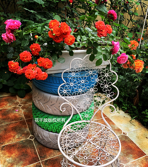 我的玫瑰仙境,请上坐!花市买来的“激素苗”,我这一招很好养活