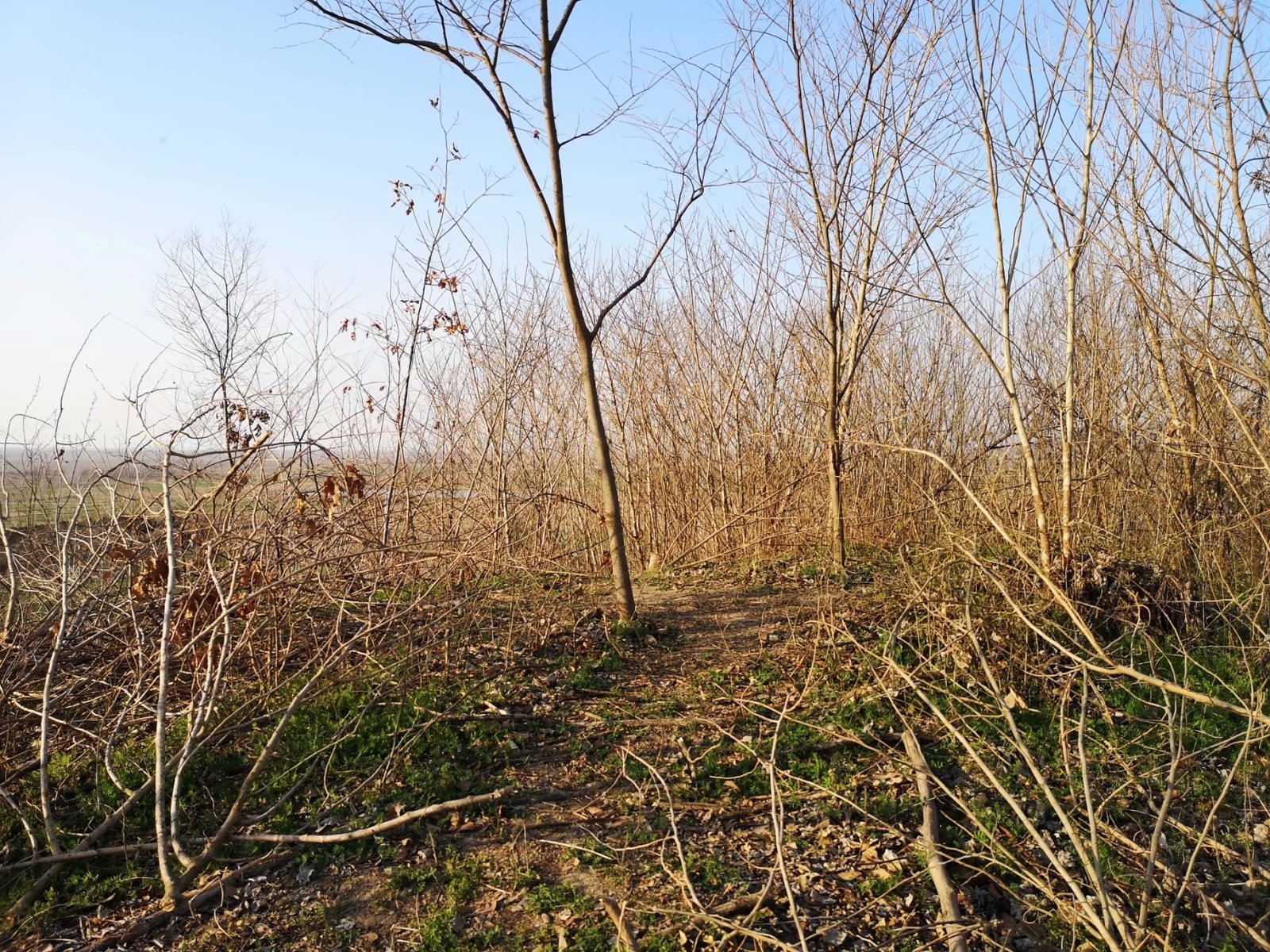 摩托周边旮旯游——探访明光法华禅庵塔