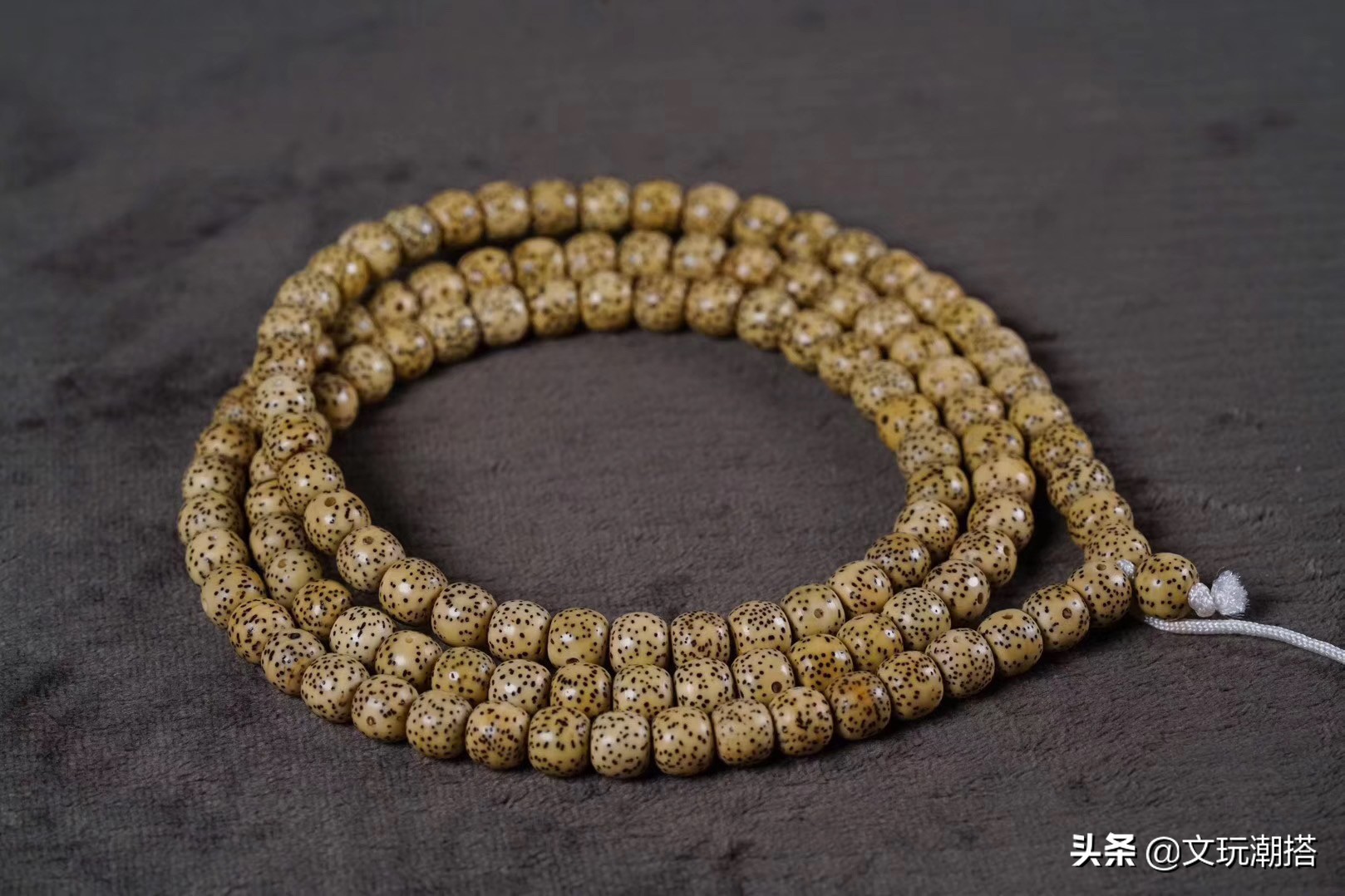 星月菩提众星捧月啥意思,众星捧月牌的星月菩提