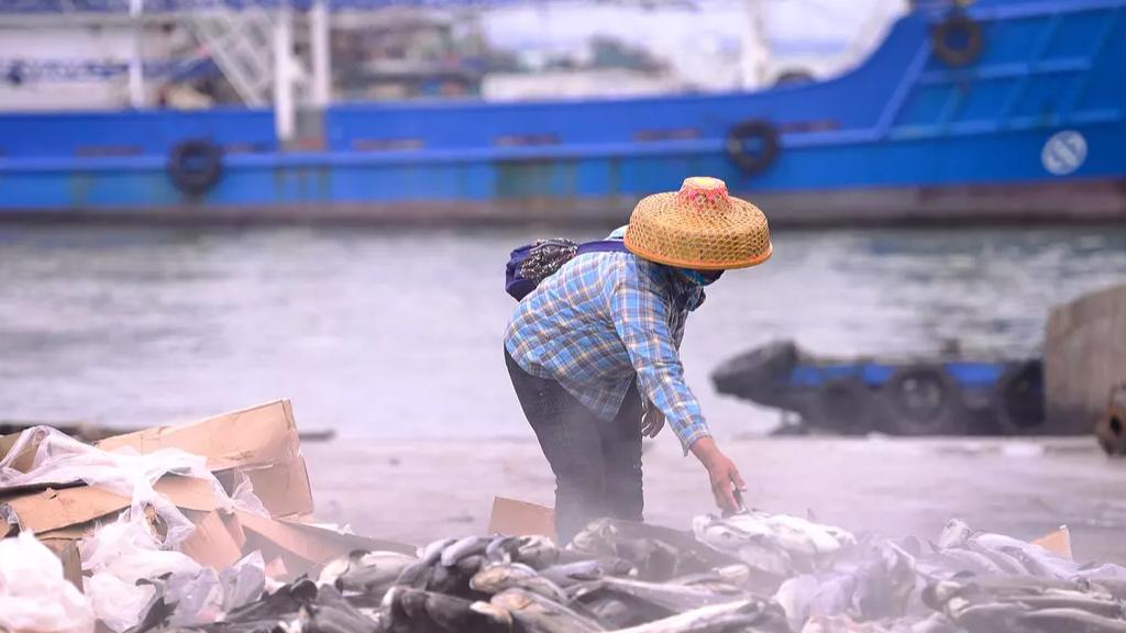 海南白马井南司码头,海南省儋州白马井码头