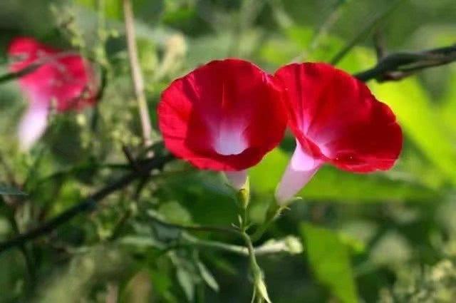 心理学通过穿衣服颜色看穿一个人,心理学怎样用颜色看透人心