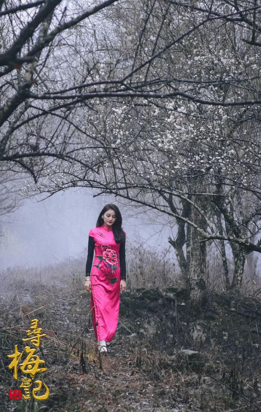 春节旅游贵州自由行最佳去处,贵州春节旅游攻略自由行线路推荐