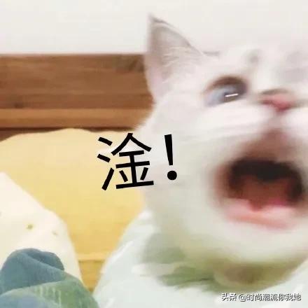 学会这些等于整容+修图！泪沟、眼袋、双下巴的超简单自救方案