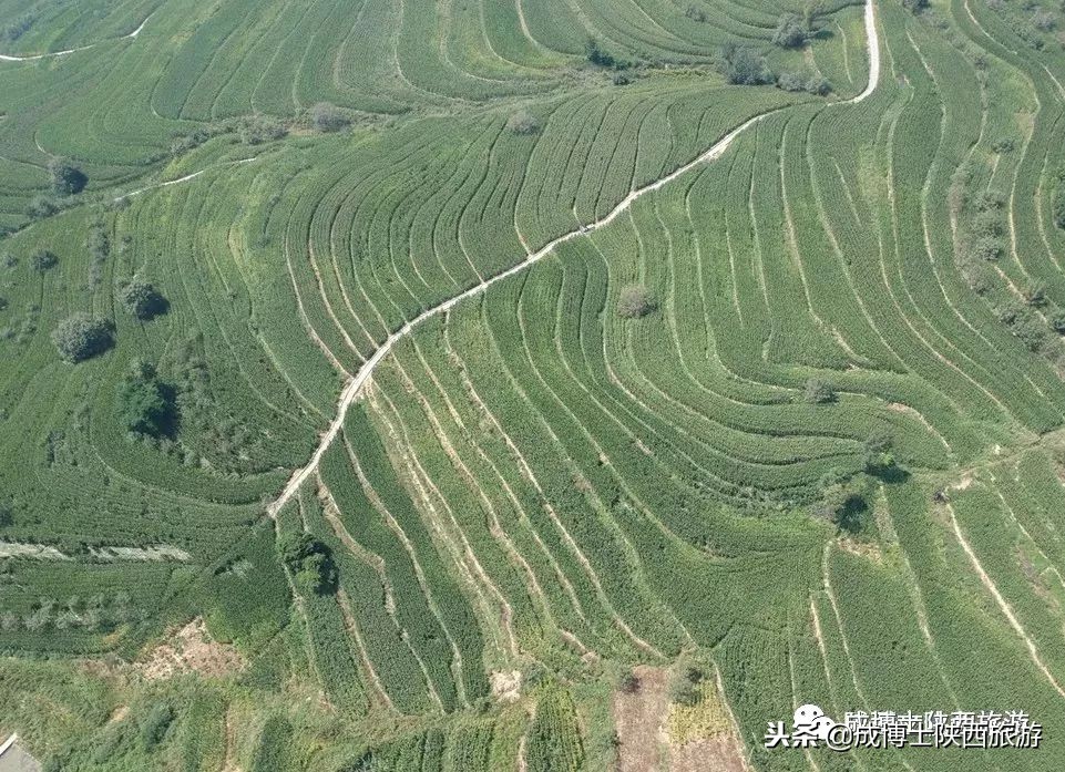 铜川都有啥旅游的地方,铜川有啥旅游的好地方