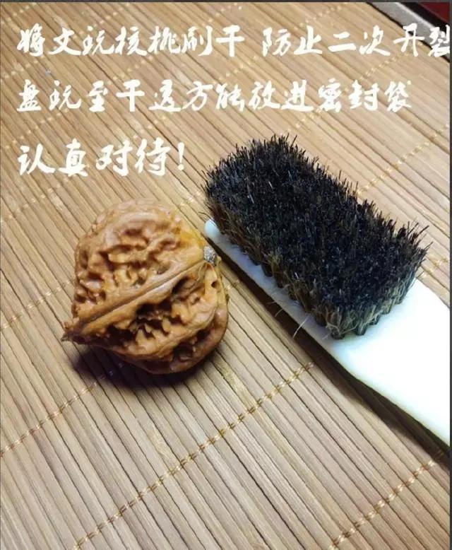 核尖开裂是正常现象吗,核壁容易开裂