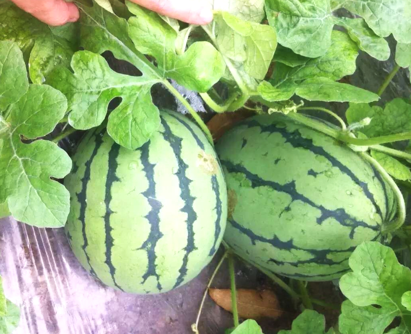 来到天下第一关,来到天下第一窖的感受