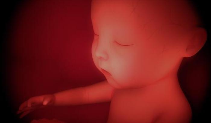 孕肚一跳一跳的是什么原因,孕肚一阵阵动是什么情况