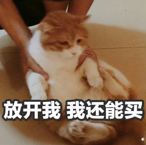 成都平均薪水,成都各区平均工资排名