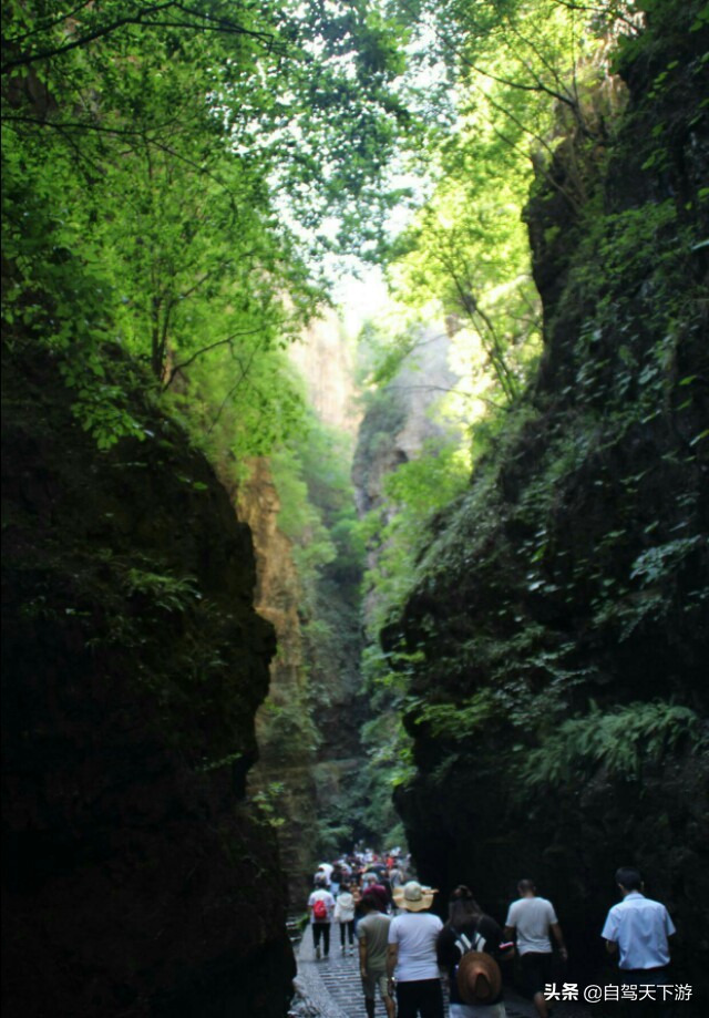河北保定野三坡最值得去的景点,野三坡风景区有哪些著名景点