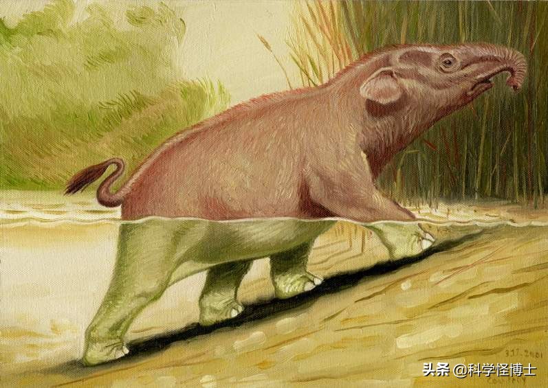 为什么猛犸象灭绝而大象没有,大象在历史上存活了多久