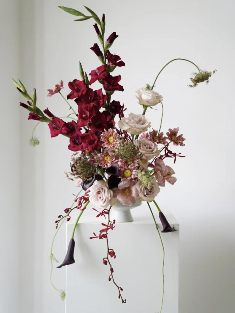 家里要有氛围感什么花比较好,家里高级的花