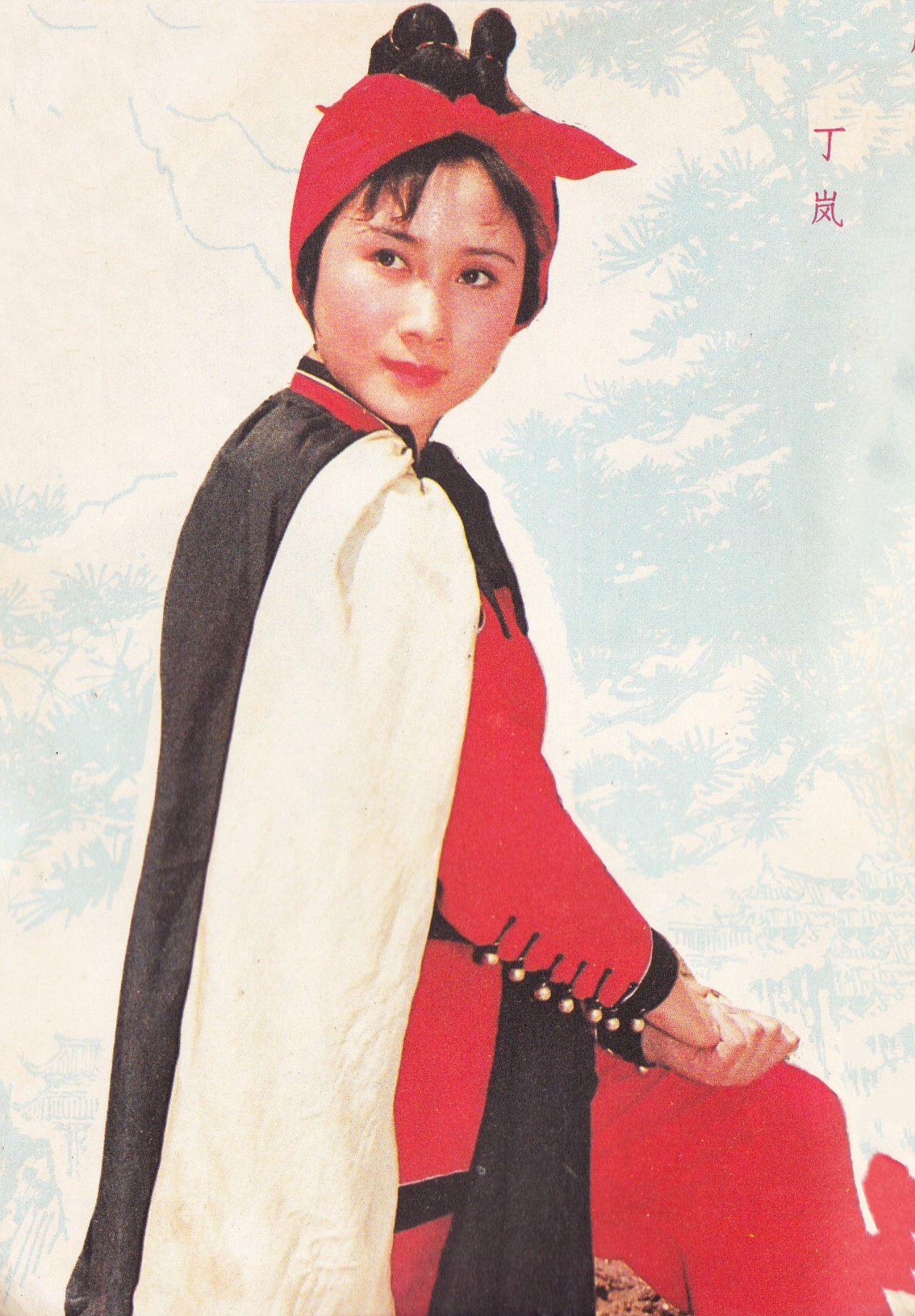 从红极一时到销声匿迹,丁岚现状图片