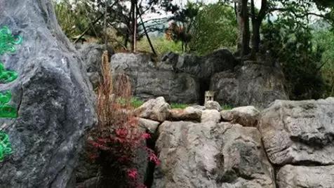 冬天最适合的养生好去处,北京冬天温泉