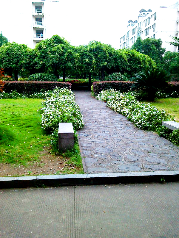 为什么要去长沙民政职业技术学院,长沙民政职业技术学院校园圈