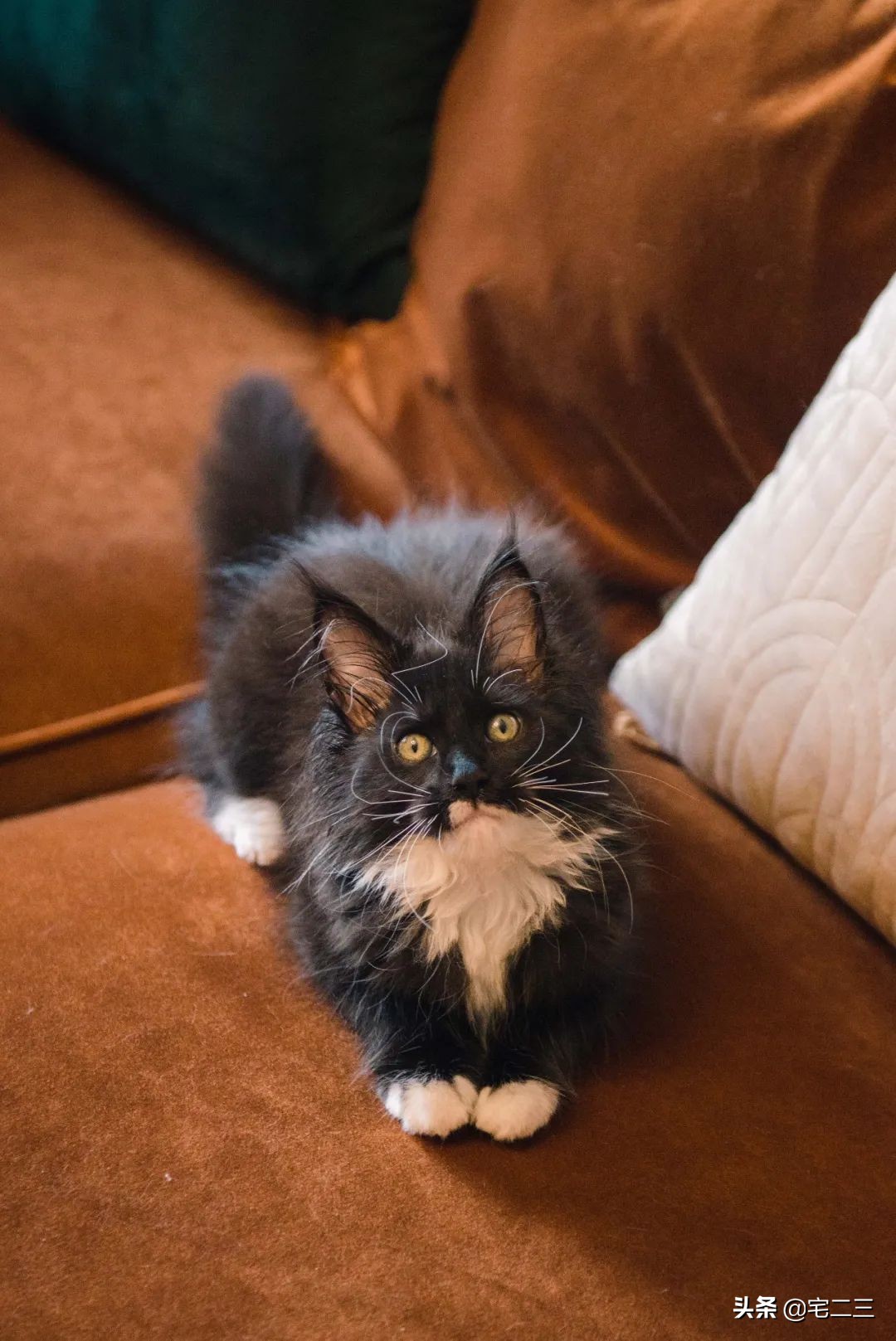 110平改平层,110平平层户型改造