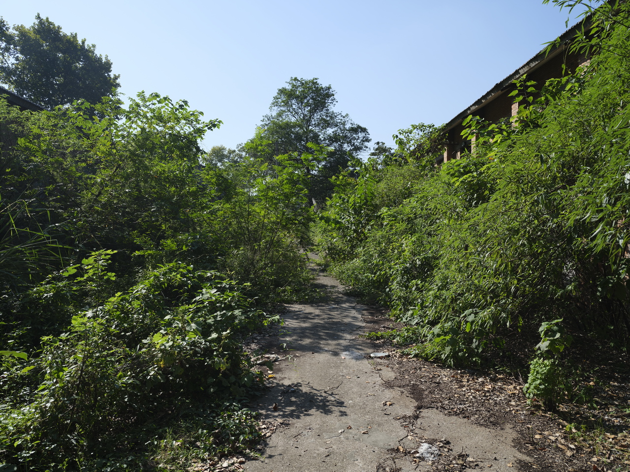 宜昌710研究所沿革,宜昌710研究所已经搬迁吗