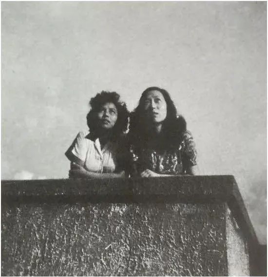 张爱玲的《小团圆》：一个也不放过