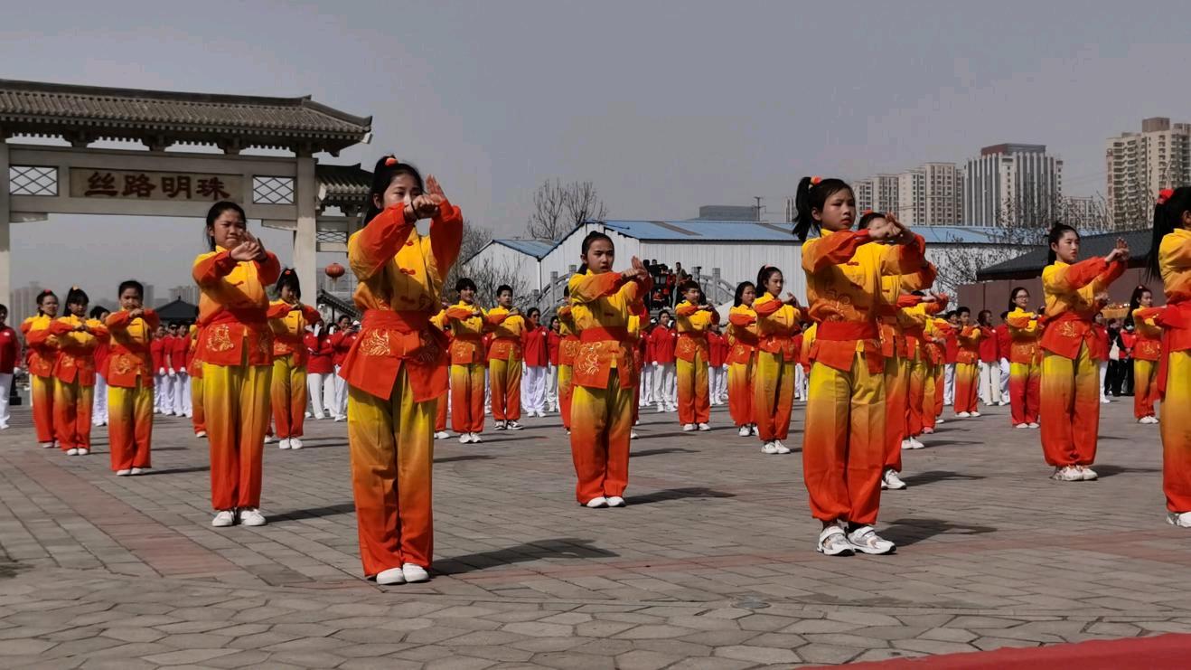 西安市新优质小学成长计划,新优质学校成长计划小雁塔小学