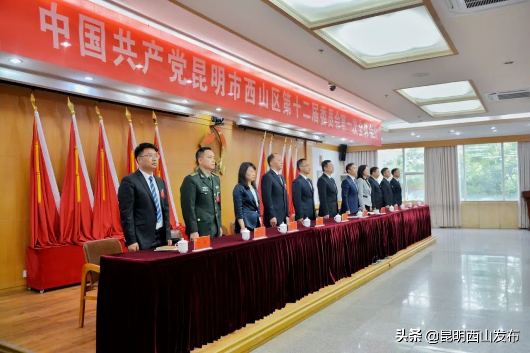 新一届区委领导班子已产生！王忠当选书记，朱滔、陈净当选副书记