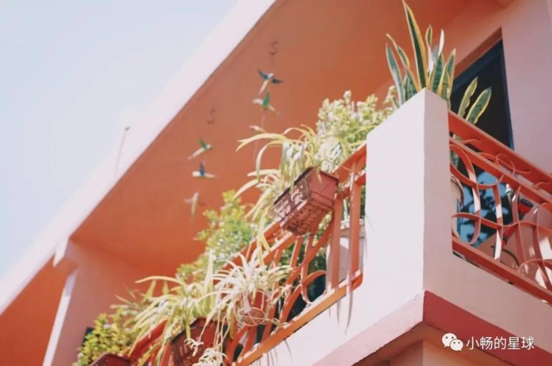 喜宝被老头打后续,喜宝喜欢石澳岛吗