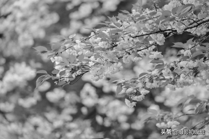 摄影饱和度怎么调,小白学摄影饱和度