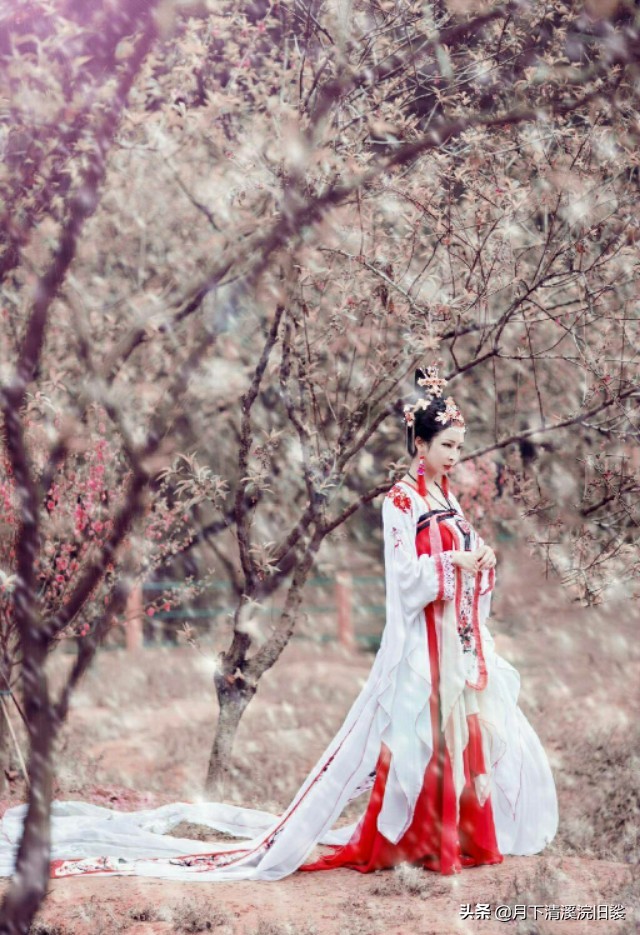 梅开二度，一段鲜为人知的爱情故事「梅花见证纯美的爱情」
